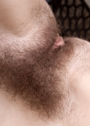 Wearehairy Model