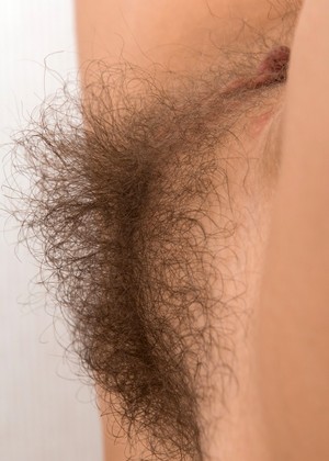 Wearehairy Model